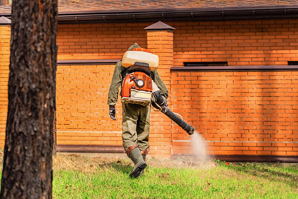 Trusted Rodent Control service in Shelton, NE - Nex Pest Control